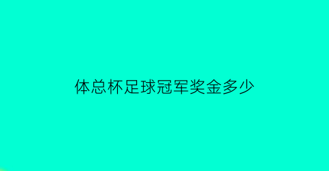 体总杯足球冠军奖金多少(体总杯足球冠军奖金多少)