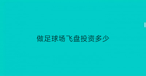 做足球场飞盘投资多少(投资足球场要多少钱)