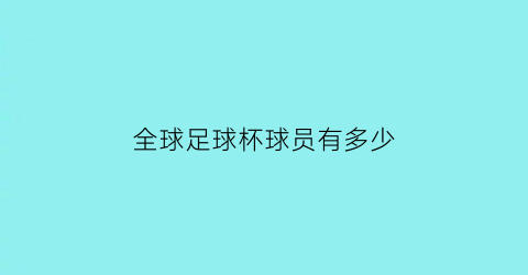 全球足球杯球员有多少(世界足球杯的面积是多少)