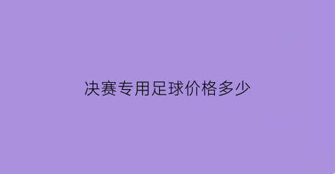 决赛专用足球价格多少