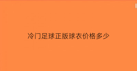 冷门足球正版球衣价格多少