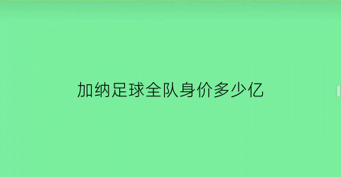 加纳足球全队身价多少亿