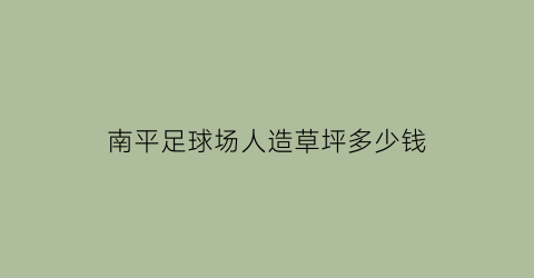 南平足球场人造草坪多少钱(人造草坪足球场每平米价格)