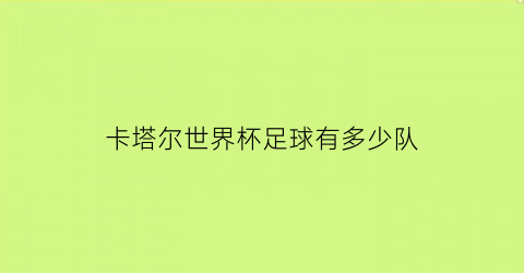 卡塔尔世界杯足球有多少队