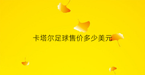 卡塔尔足球售价多少美元(卡塔尔2022年足球)