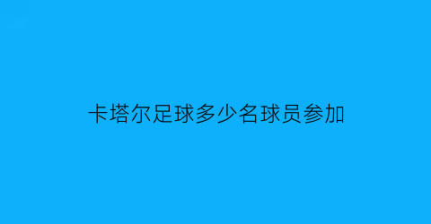 卡塔尔足球多少名球员参加