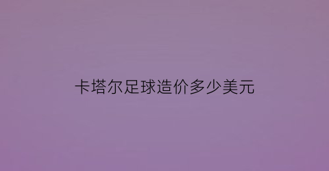 卡塔尔足球造价多少美元(卡塔尔足球投入)