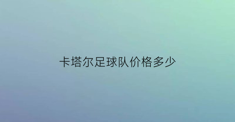 卡塔尔足球队价格多少