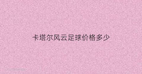 卡塔尔风云足球价格多少(卡塔尔足球投入)