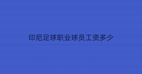 印尼足球职业球员工资多少(印尼足球)