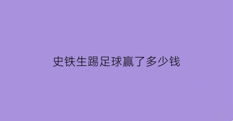 史铁生踢足球赢了多少钱(史铁生什么水平)