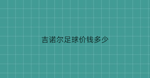 吉诺尔足球价钱多少