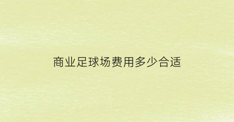 商业足球场费用多少合适(足球场收费标准)