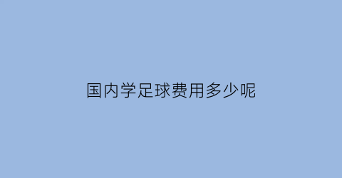 国内学足球费用多少呢(国内足球学校学费)