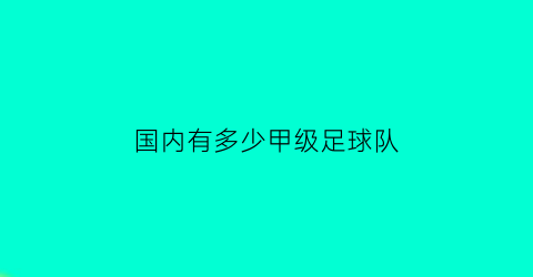 国内有多少甲级足球队(中国足球有甲级联赛吗)