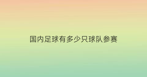 国内足球有多少只球队参赛(中国有多少支足球俱乐部)