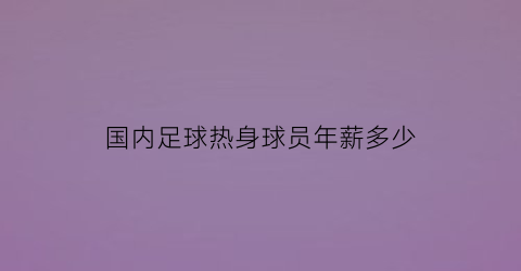 国内足球热身球员年薪多少