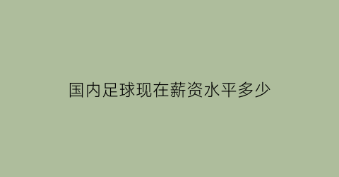 国内足球现在薪资水平多少