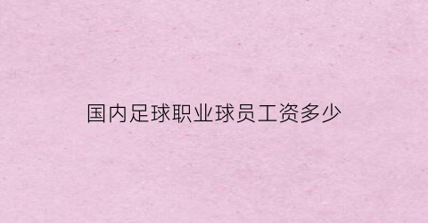 国内足球职业球员工资多少(国内足球职业球员工资多少一个月)