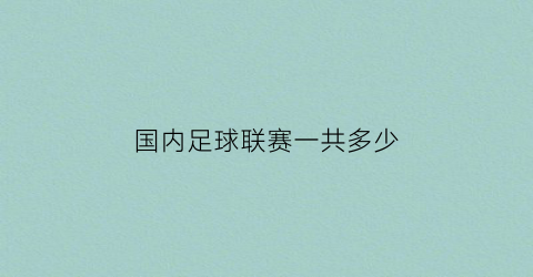 国内足球联赛一共多少