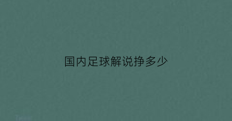 国内足球解说挣多少(国内足球解说员的收入)