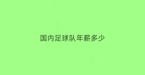 国内足球队年薪多少(中国国家足球队年薪)