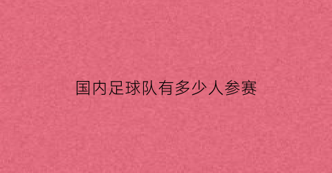 国内足球队有多少人参赛(国内足球队有多少人参赛了)