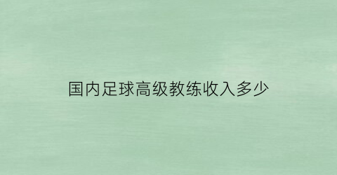 国内足球高级教练收入多少