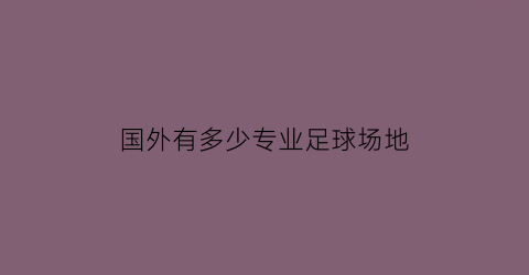 国外有多少专业足球场地(国际专业足球场)