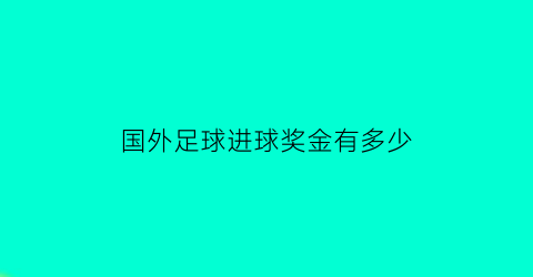 国外足球进球奖金有多少