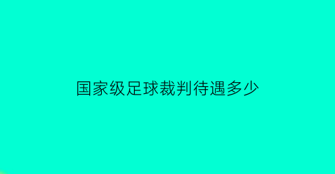 国家级足球裁判待遇多少