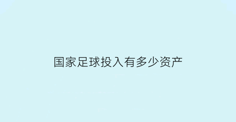 国家足球投入有多少资产(中国足球承担费用)