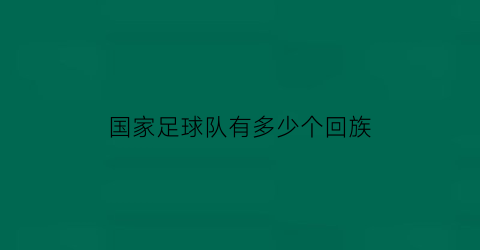 国家足球队有多少个回族(国家足球队有多少个人球员)