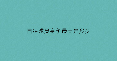 国足球员身价最高是多少