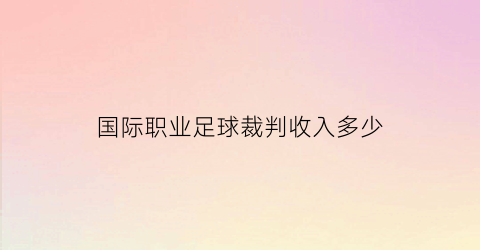 国际职业足球裁判收入多少(国际级足球裁判员)