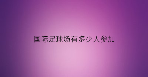 国际足球场有多少人参加(国际足球场多大面积)