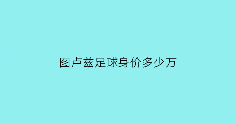 图卢兹足球身价多少万(图卢兹足球俱乐部主客场球衣)