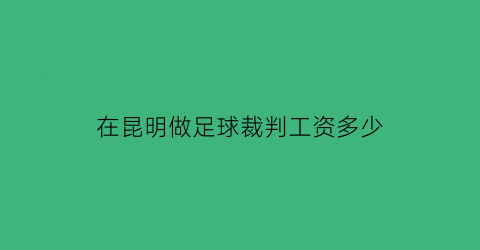 在昆明做足球裁判工资多少(普通足球裁判工资多少)