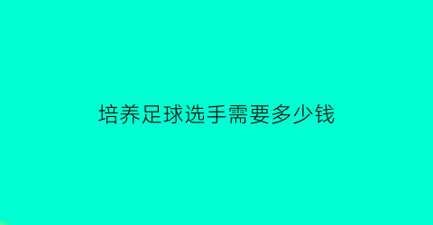 培养足球选手需要多少钱(培养足球选手需要多少钱一个月)