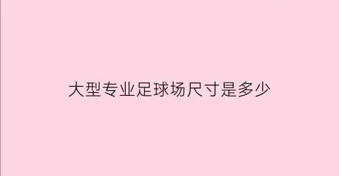 大型专业足球场尺寸是多少(大型足球场的长宽分别是什么)