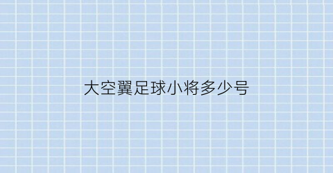 大空翼足球小将多少号