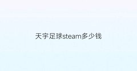 天宇足球steam多少钱