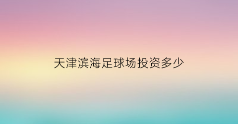 天津滨海足球场投资多少(天津足球场)