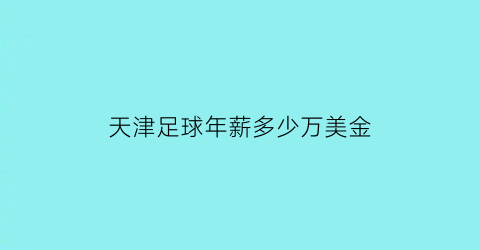 天津足球年薪多少万美金(天津足球球员)