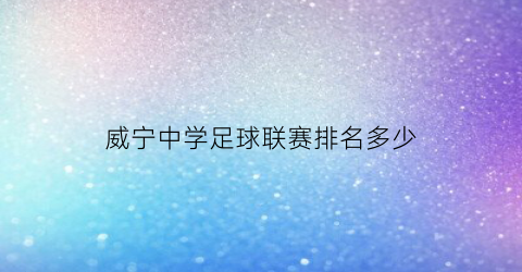 威宁中学足球联赛排名多少(威宁中学足球联赛排名多少名能进)