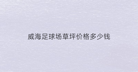 威海足球场草坪价格多少钱(威海室内足球场)