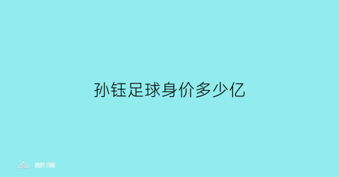 孙钰足球身价多少亿(孙钰德简介)