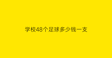 学校48个足球多少钱一支(瑞新小学足球队要买48个足球)