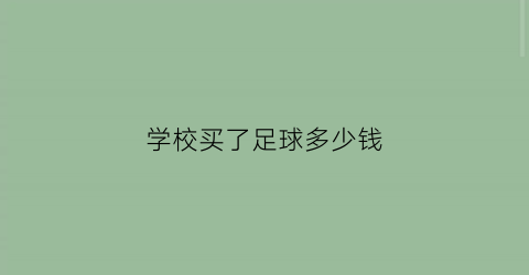 学校买了足球多少钱(学校买回足球)