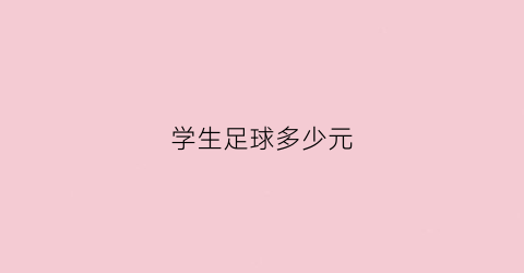 学生足球多少元